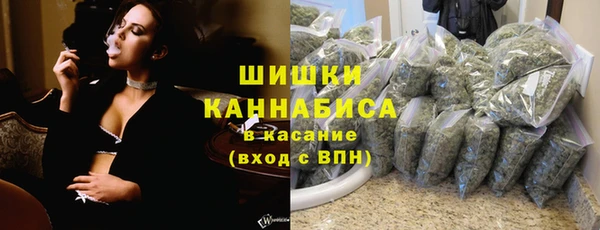 гидра Вязники