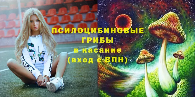 ссылка на мегу как войти  Алатырь  Псилоцибиновые грибы Magic Shrooms 